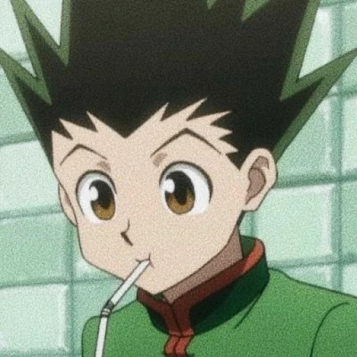 Gon freecss - 