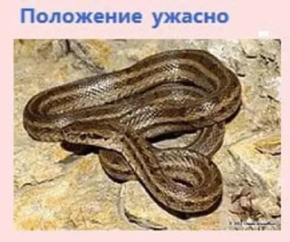 Sticker Планета Гугл - 8