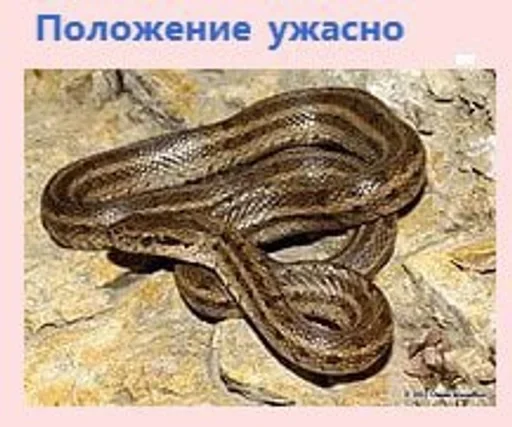 Sticker googleplanetstickers - 1