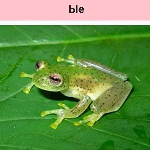 Sticker googleplanetstickers - 1