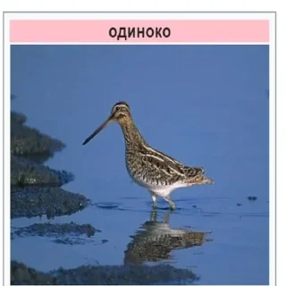 Sticker Планета Гугл - 3