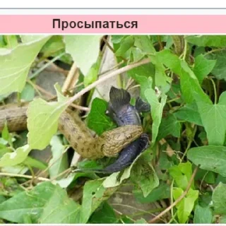 Sticker Планета Гугл - 7