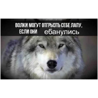 Стикер Быдлятский МемПак - 9