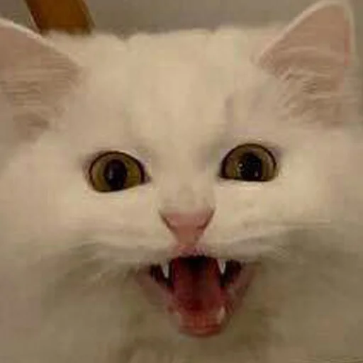 Sticker gopstoppppp - 1