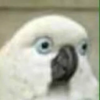 Стикер gopstop - 1