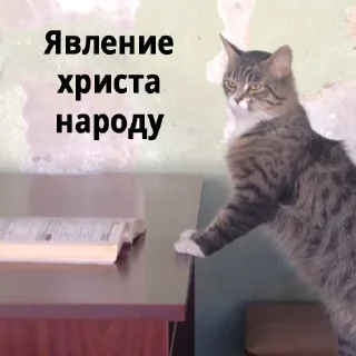 Стикер gopstop - 6