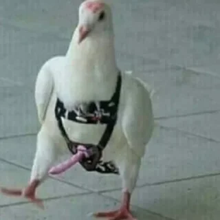 Стикер gopstop - 10