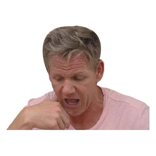 Sticker Gordon Ramsay - 8