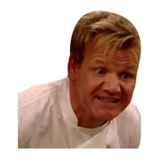 Sticker Gordon Ramsay - 5