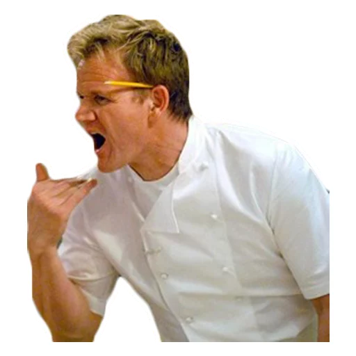 Sticker Gordon Ramsay - 3