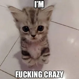 Sticker хочу чизбургер - 11