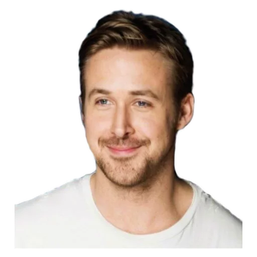 Sticker Gosling ♡ - 6