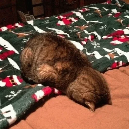 Стикер @yazykit @yazykit @yazykit :: @fStikBot - 8