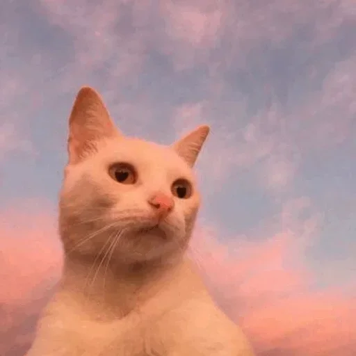 Стикер @yazykit @yazykit @yazykit :: @fStikBot - 5