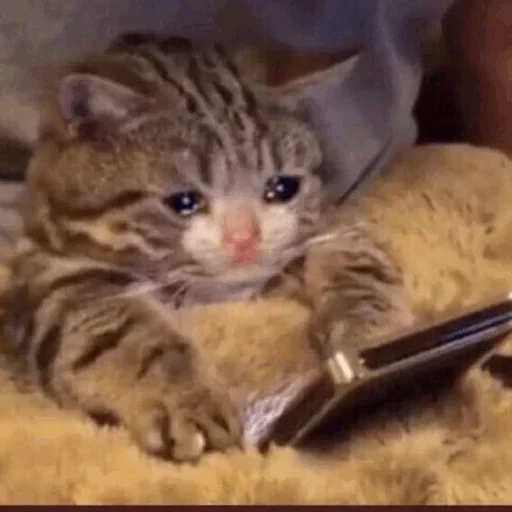 Стикер @yazykit @yazykit @yazykit :: @fStikBot - 4