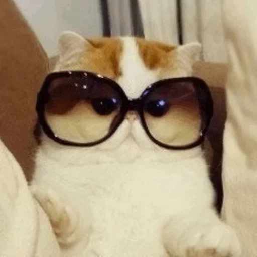 Стикер @yazykit @yazykit @yazykit :: @fStikBot - 2