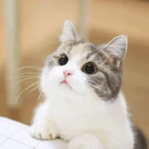 Стикер @yazykit @yazykit @yazykit :: @fStikBot - 0