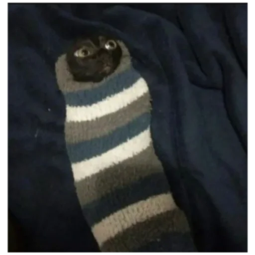 Стикер Набор Господина - 11