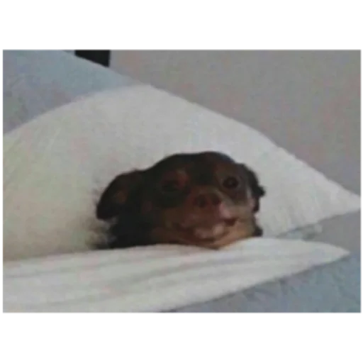 Стикер Набор Господина - 7