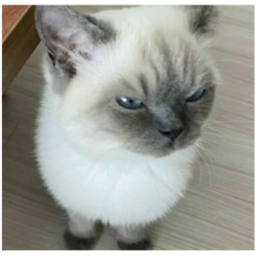 Стикер Набор Господина - 3