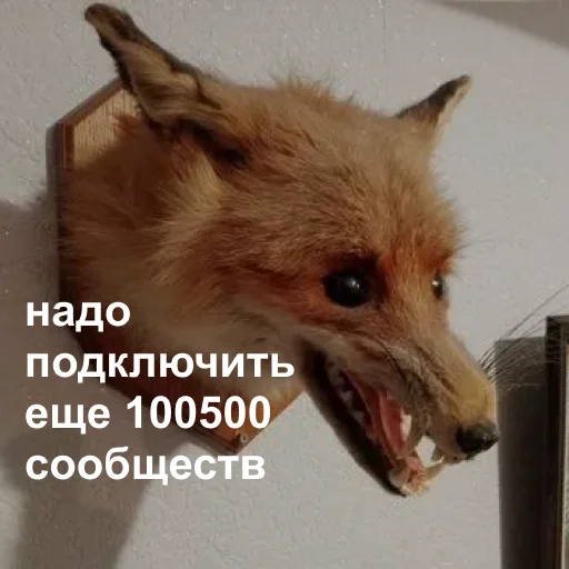 Стикер gospublic_tsur - 1