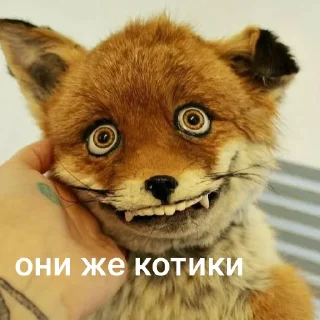 Стикер Госпаблики - 8