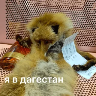 Стикер Госпаблики - 0