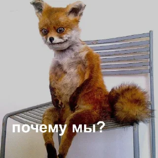 Стикер Госпаблики - 5