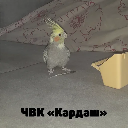 Стикер gothard1488 - 1