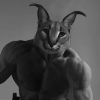 Стикер huita_dlya_jizni - 2