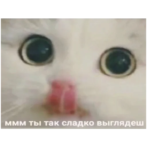 Sticker стикеры для говноедов - 9