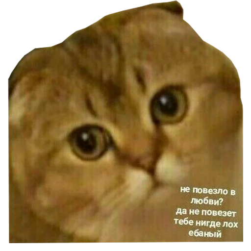 Sticker стикеры для говноедов - 6