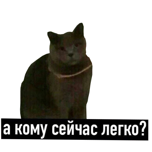 Sticker стикеры для говноедов - 1