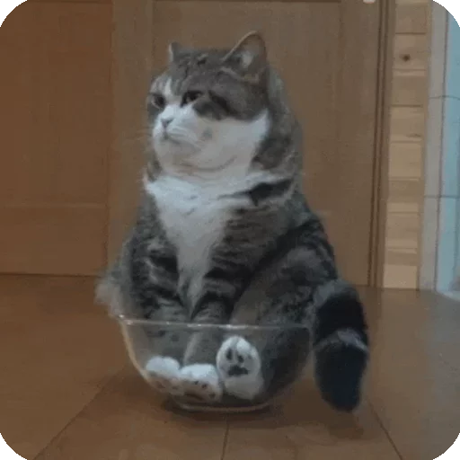 Sticker *fff by @fStikBot - 2