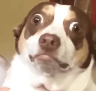 Sticker ГОЙДА СТАТИК - 1