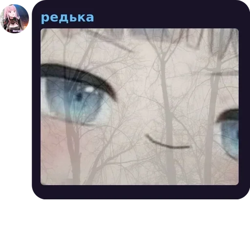 скриншот взор