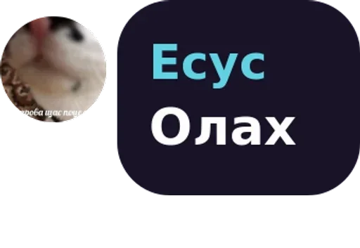 СМС беспозвоночный животное