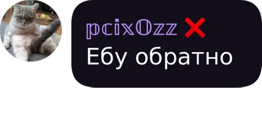 СМС скриншот животное