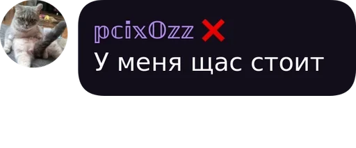 СМС кошка скриншот