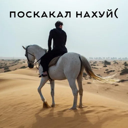 outdoor equestrianism ground