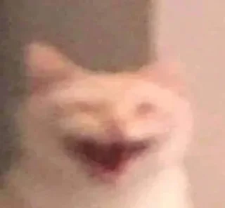 Стикер grace_fav_animals - 6