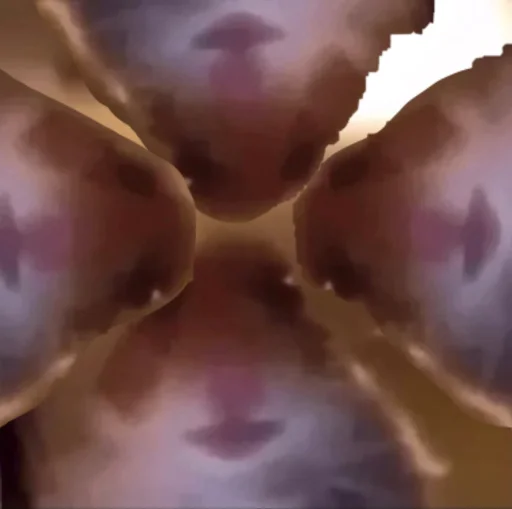 Стикер напейся из графина - 11