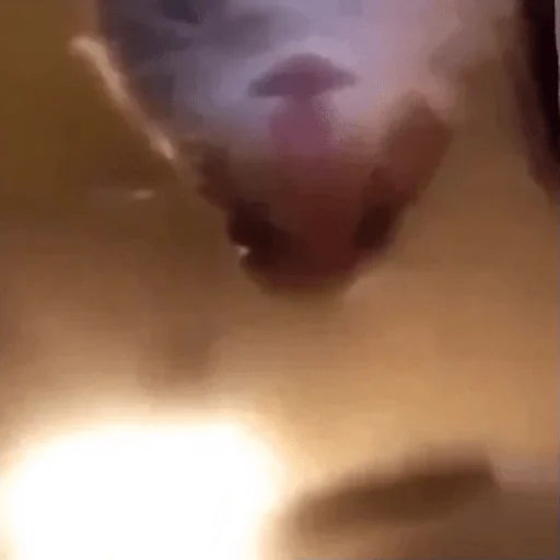 Стикер напейся из графина - 0