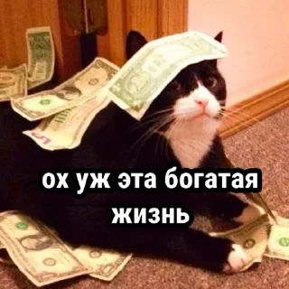 Стикер Стикеры одинокой бабули @feeling_goddess - 0