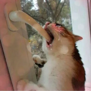 Стикер Стикеры одинокой бабули @feeling_goddess - 8