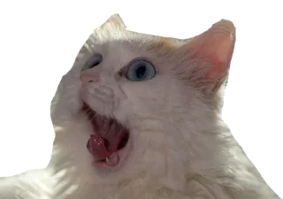 Стикер Стикеры одинокой бабули @feeling_goddess - 3