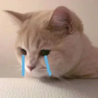 Стикер Стикеры одинокой бабули @feeling_goddess - 1