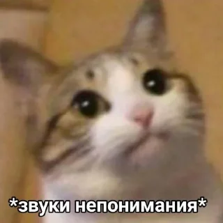 Стикер Стикеры одинокой бабули @feeling_goddess - 7