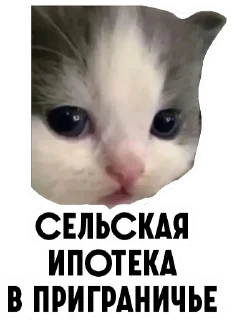 Sticker granica46 - 6