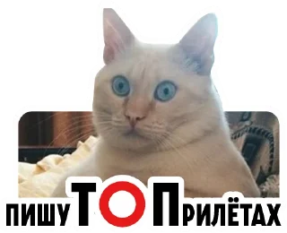 Sticker granica46 - 0